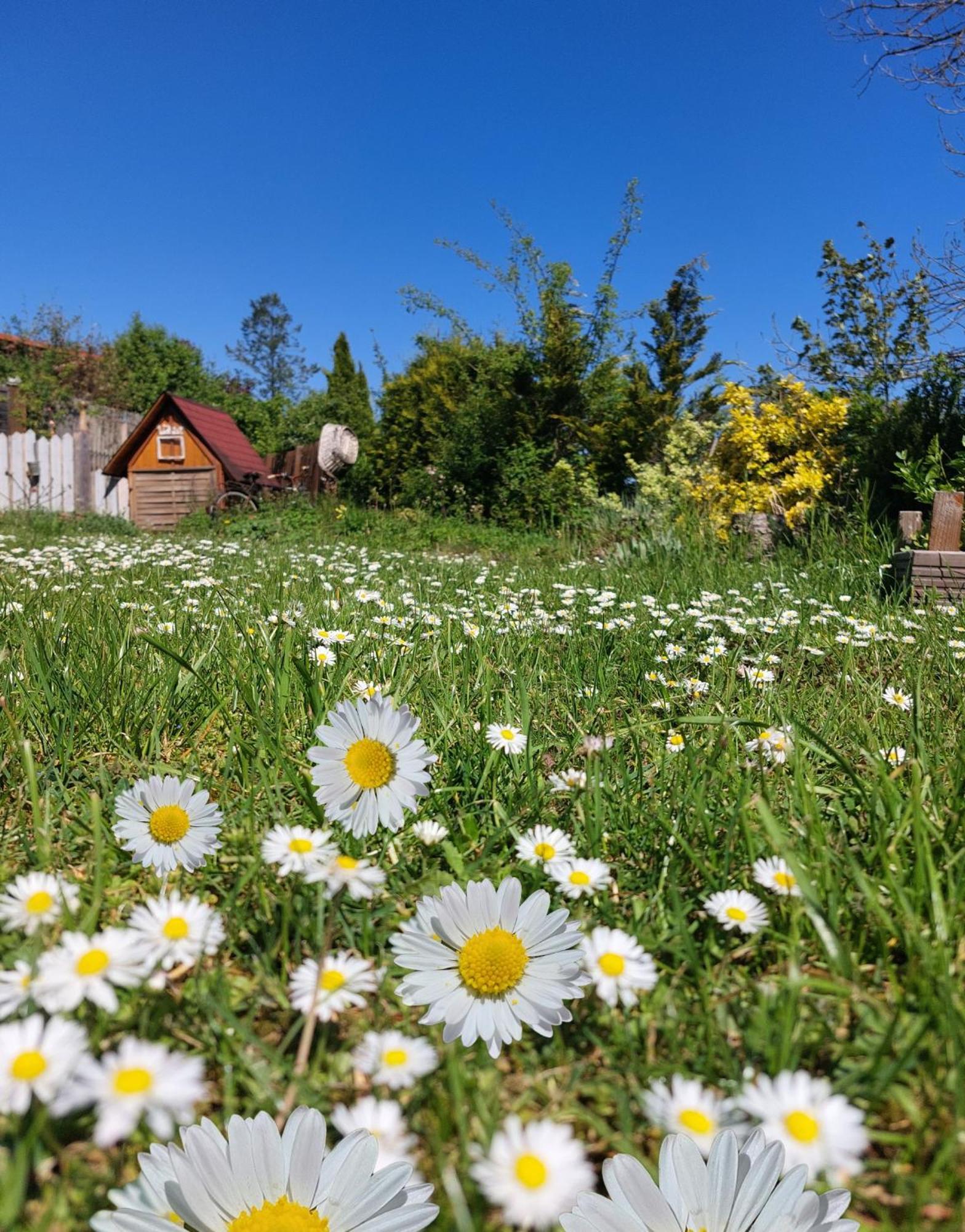 Ferienhaus Nr 2 - Das Kleine Haus Im Haus Heiligenstadt in Oberfranken Exteriér fotografie